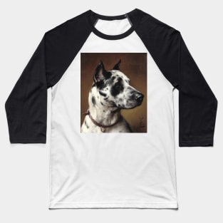 Portrait of a Great Dane (circa 1900) by Carl Reichert Baseball T-Shirt